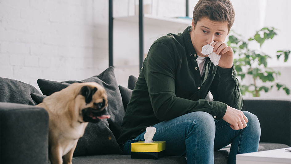 Purchasing an air purifier is one of the smartest ways to improve your residence’s indoor air quality. Find out more about the three best solutions. 